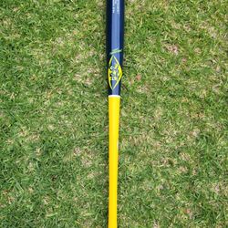 Baseball Bat