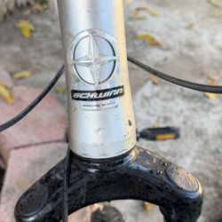 Schwinn Bicycle 