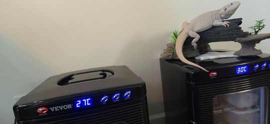 Incubators