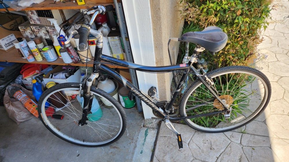 XL Specialized Crossroads Bicycle