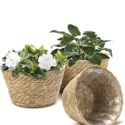 Athaliah Plant Basket Set of 3, Indoor Woven Planter Baskets with Plastic Liner, Water Hyacinth and Corn Husk Decorative Pots for Rustic Home & Floor 