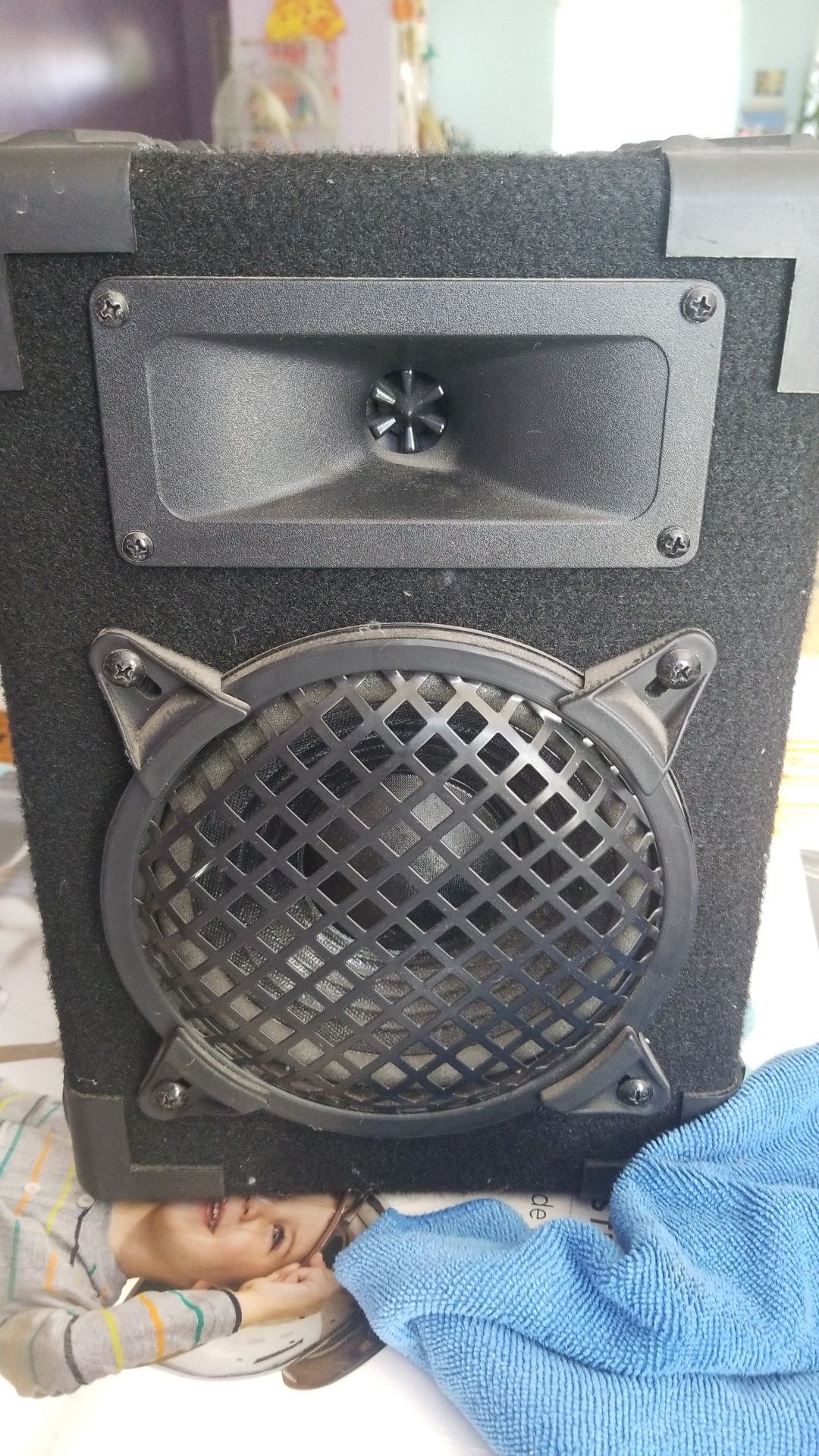 Speaker pro audio