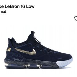 Lebron xvi low outlet