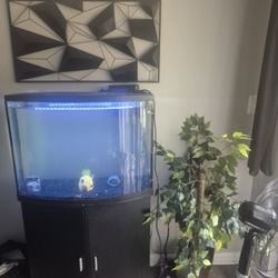 36 Gallon Fish Tank