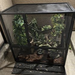 Cage Reptile