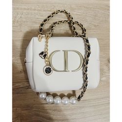 Dior Cosmetic Crossbody Bag