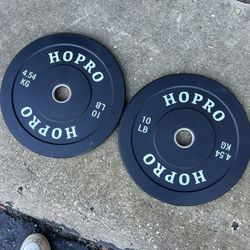 10 pound olympic bumper plates 