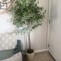threadhold Target Plant 