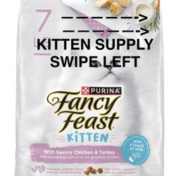 Kitten Supply