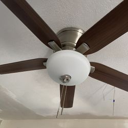 Brand New Fan.