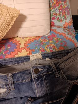 BKE Payton Jeans 29L