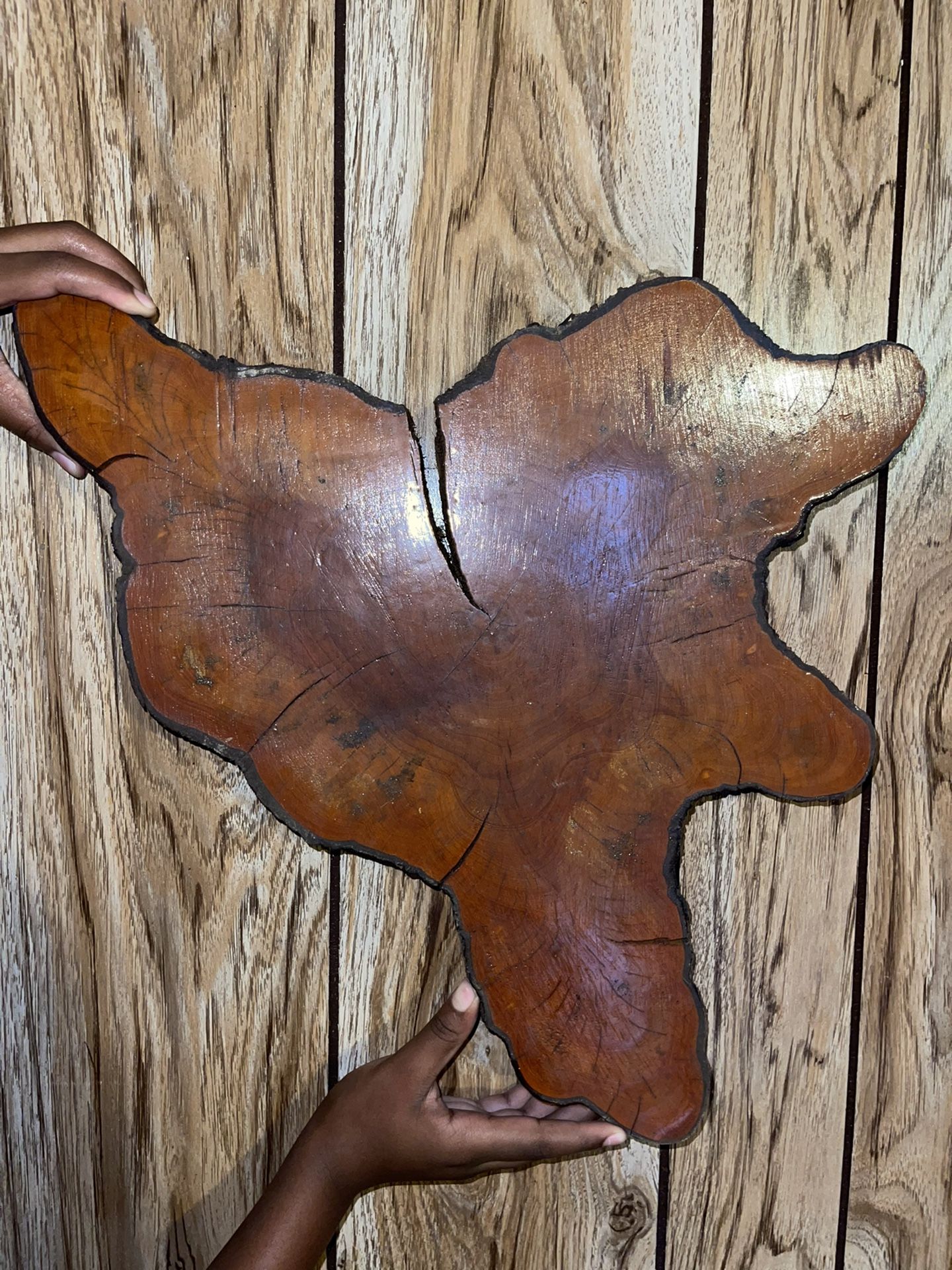 1970s Homemade Wood Slice