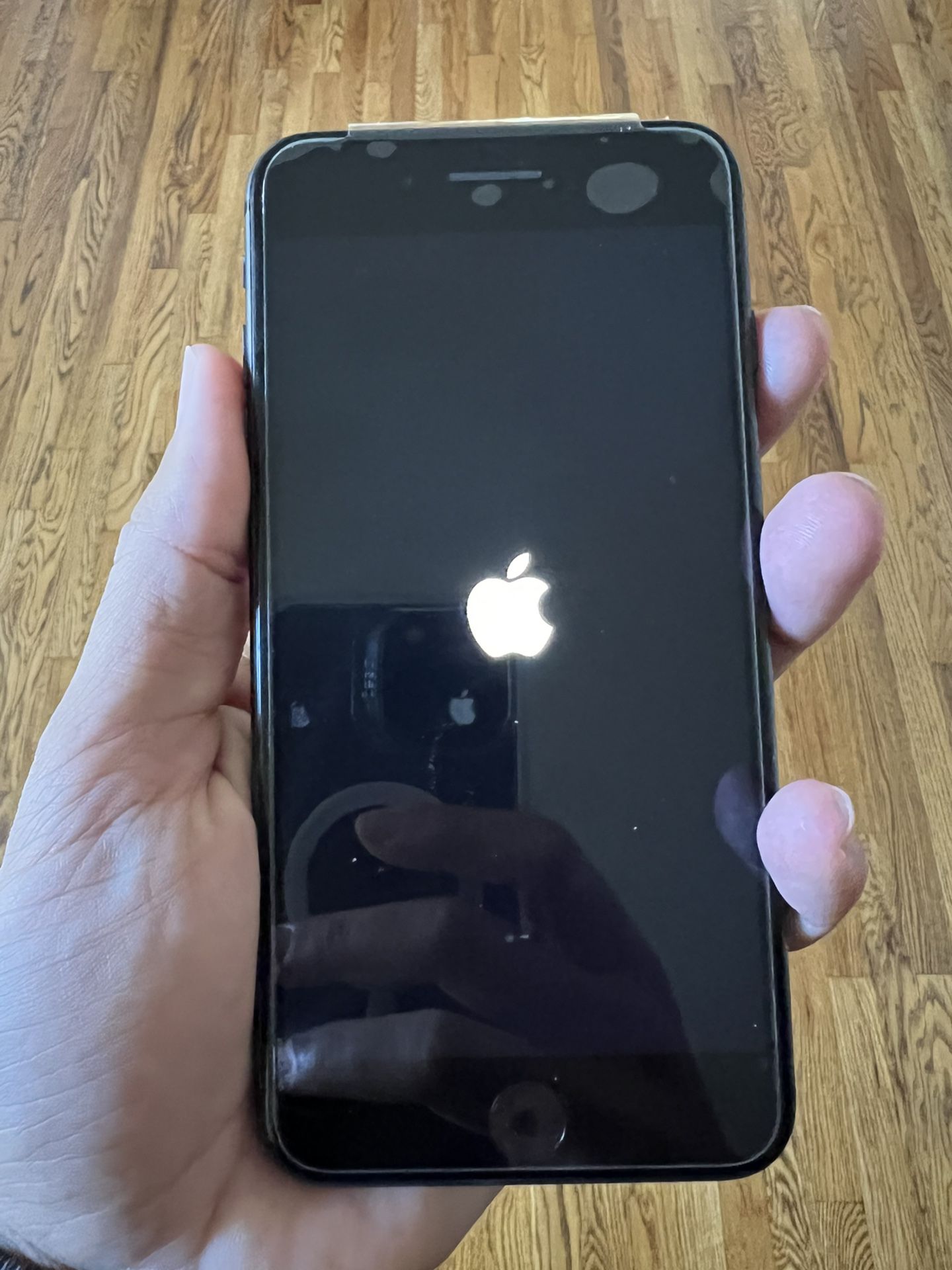 3b69391d0e9842158b0319d6872815