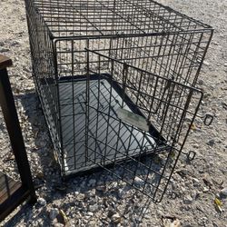 Dog Kennel 