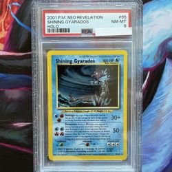 PSA 8 Unlimited Shining Gyarados Holo - New Cert