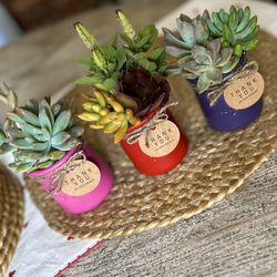 Valentine’s Succulent Gifts 