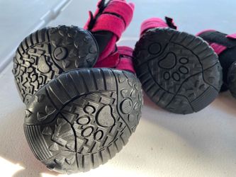 Size L Dog Shoes