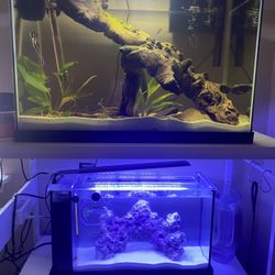 Fish Tank Stand
