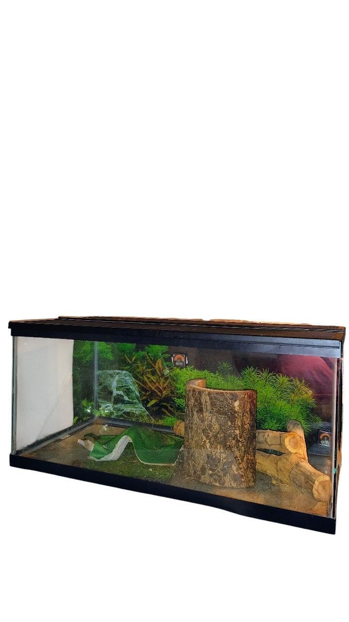 Reptile Tank