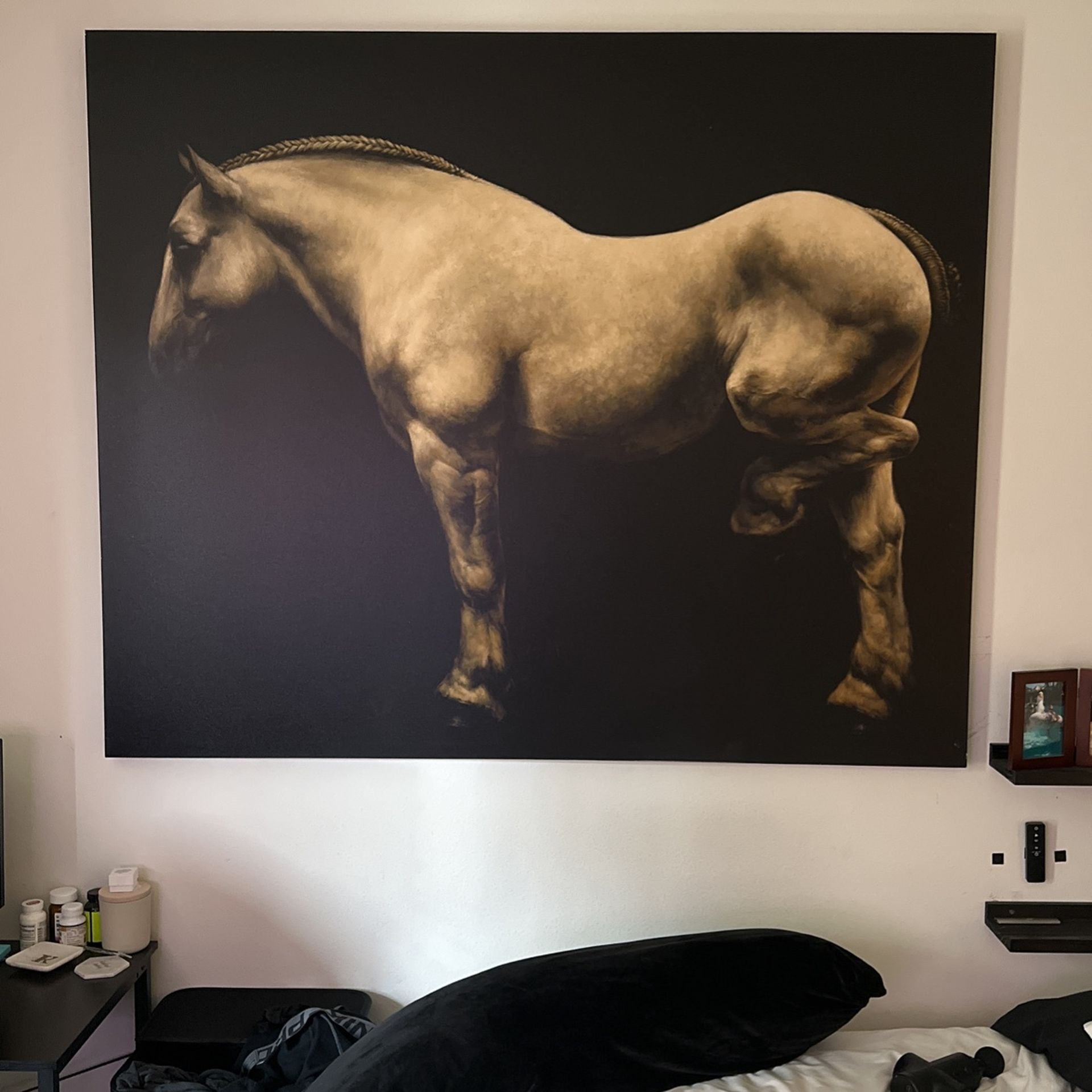 Large Horse Canvas Picture Z Gallerie