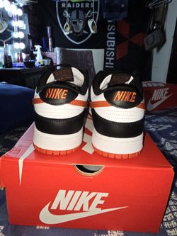 Nike Dunks (New)