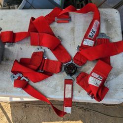5 Point Seat Belt