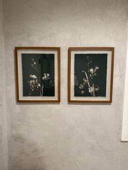 Set of 2 Botanical Framed Wall Art