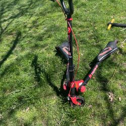 Flicker Scooter 