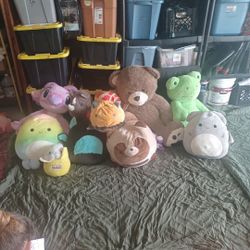 Squishmallows Plush Bear Frog Squirrel 