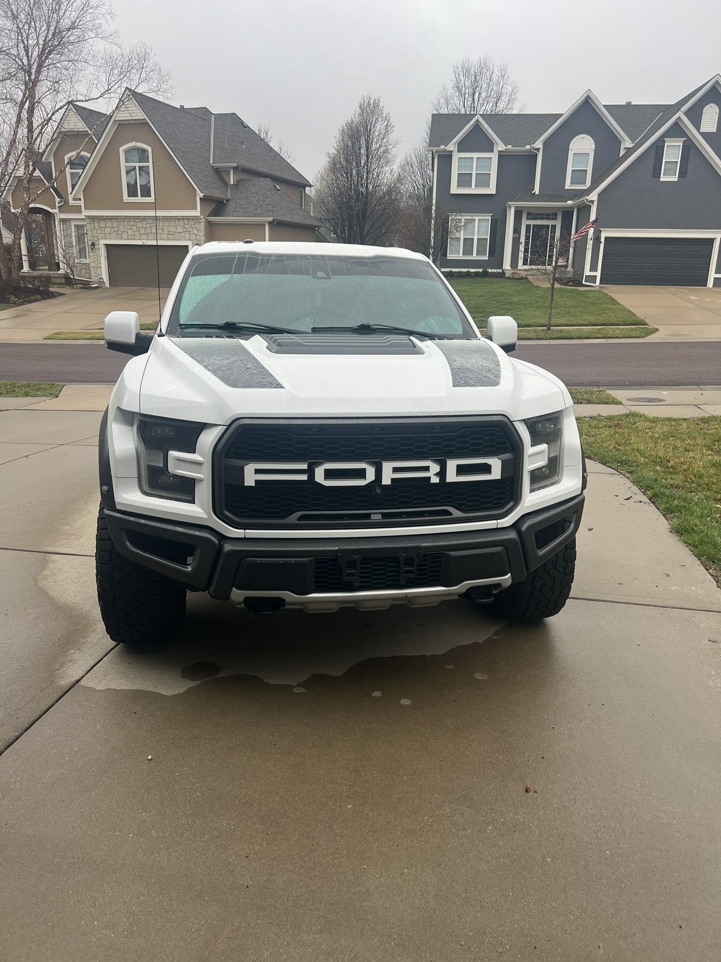 2018 Ford Raptor 