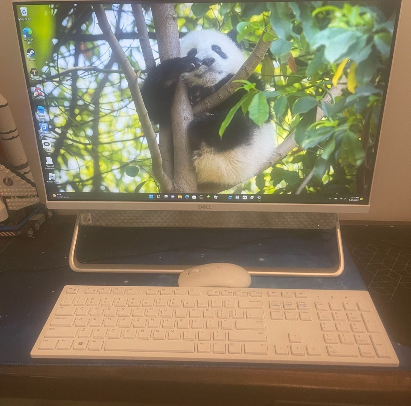 Dell All In one Computer