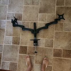 Startech Dual Monitor Desk Mount