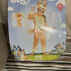 Bingo Costume