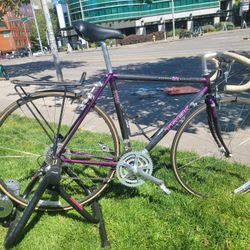 2120 ZX Carbon Series 52cm Trek 