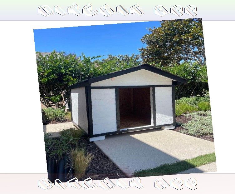 focus shake Design the Perfect Dog Home - Fashion and Comfort United