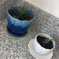 Selling plant pots