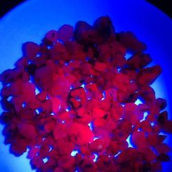 50ctw Of Natural Burmese Ruby Rough Gemstones Lot