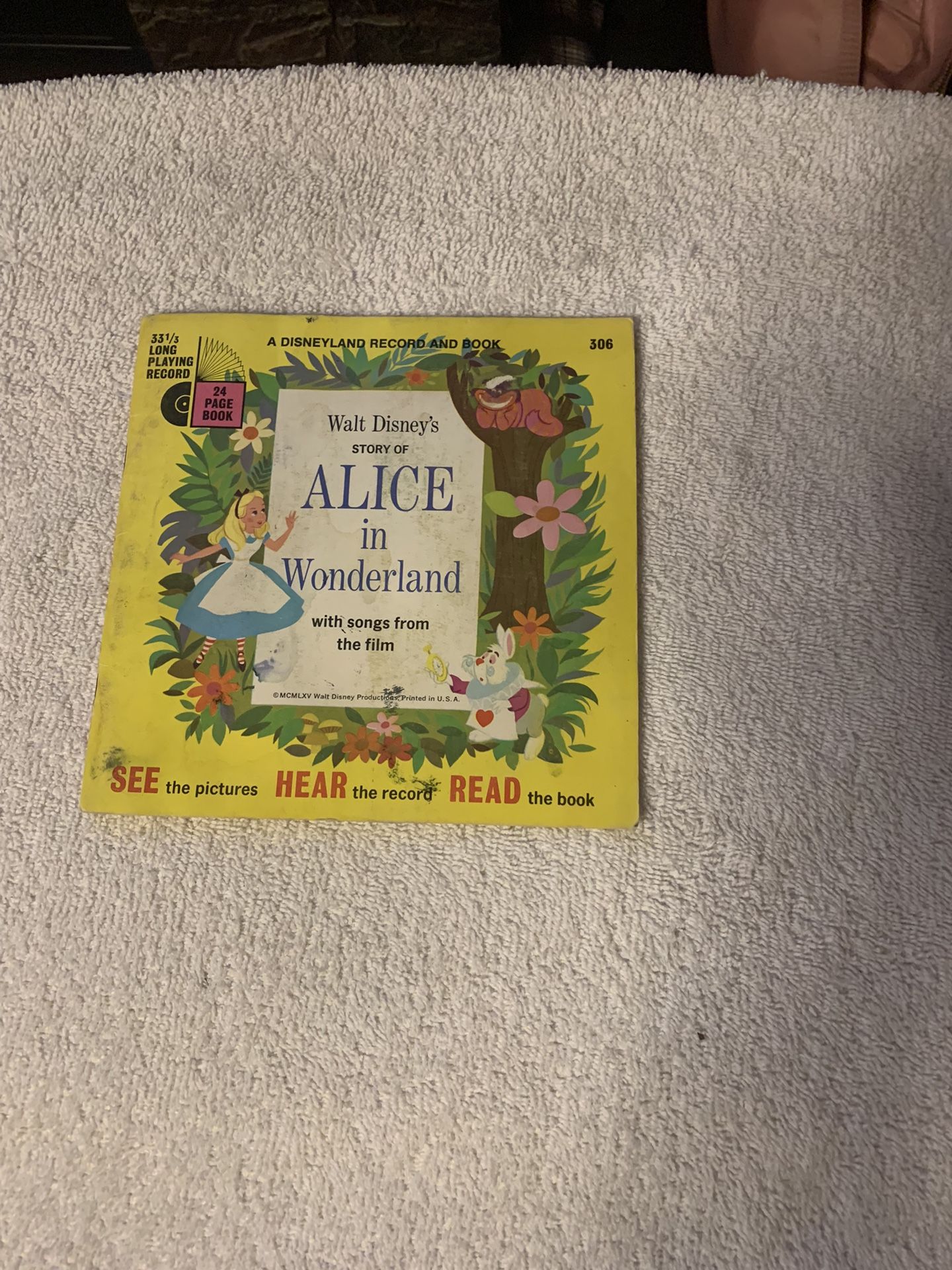 Disney Book And Record