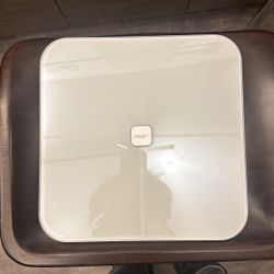 Bathroom Scale 