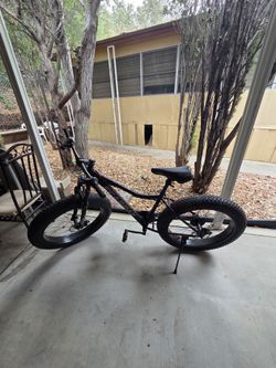 Ecarpat Bike fat tires