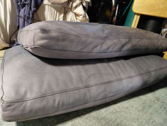 Couch cushions. Down/Nice leather