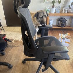 Ergonomics office chair /w lumbar support