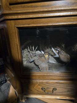 Beautiful Oak Gun Cabinet