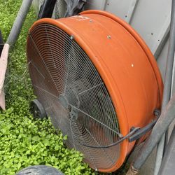 Fan