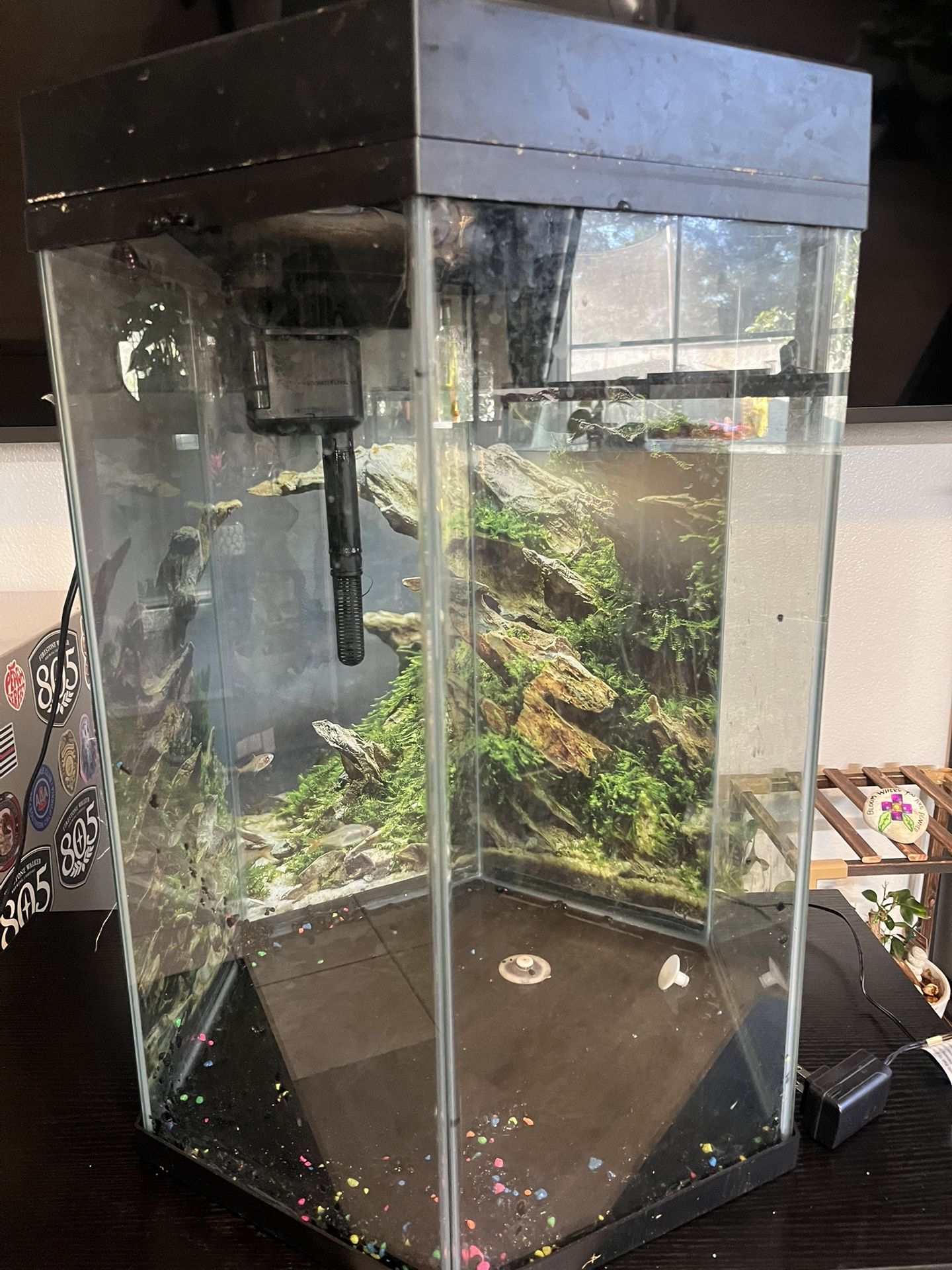 Hexagon Aquarium