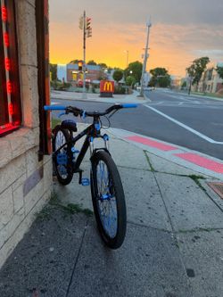 Mafia Blue Laplaga 29 inch