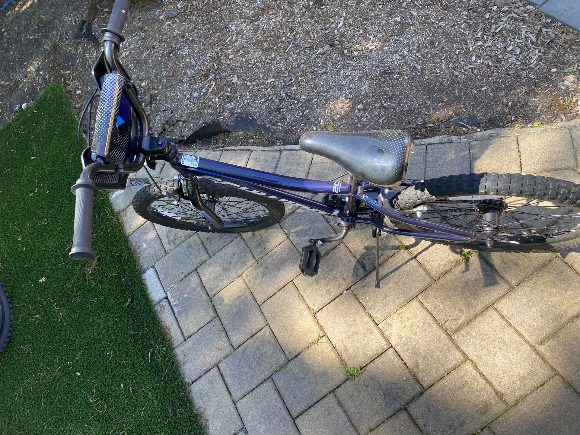 Schwinn 20 Inch Bike