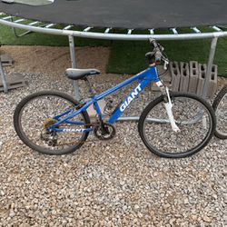 GIANT 24’ Mountain bike 