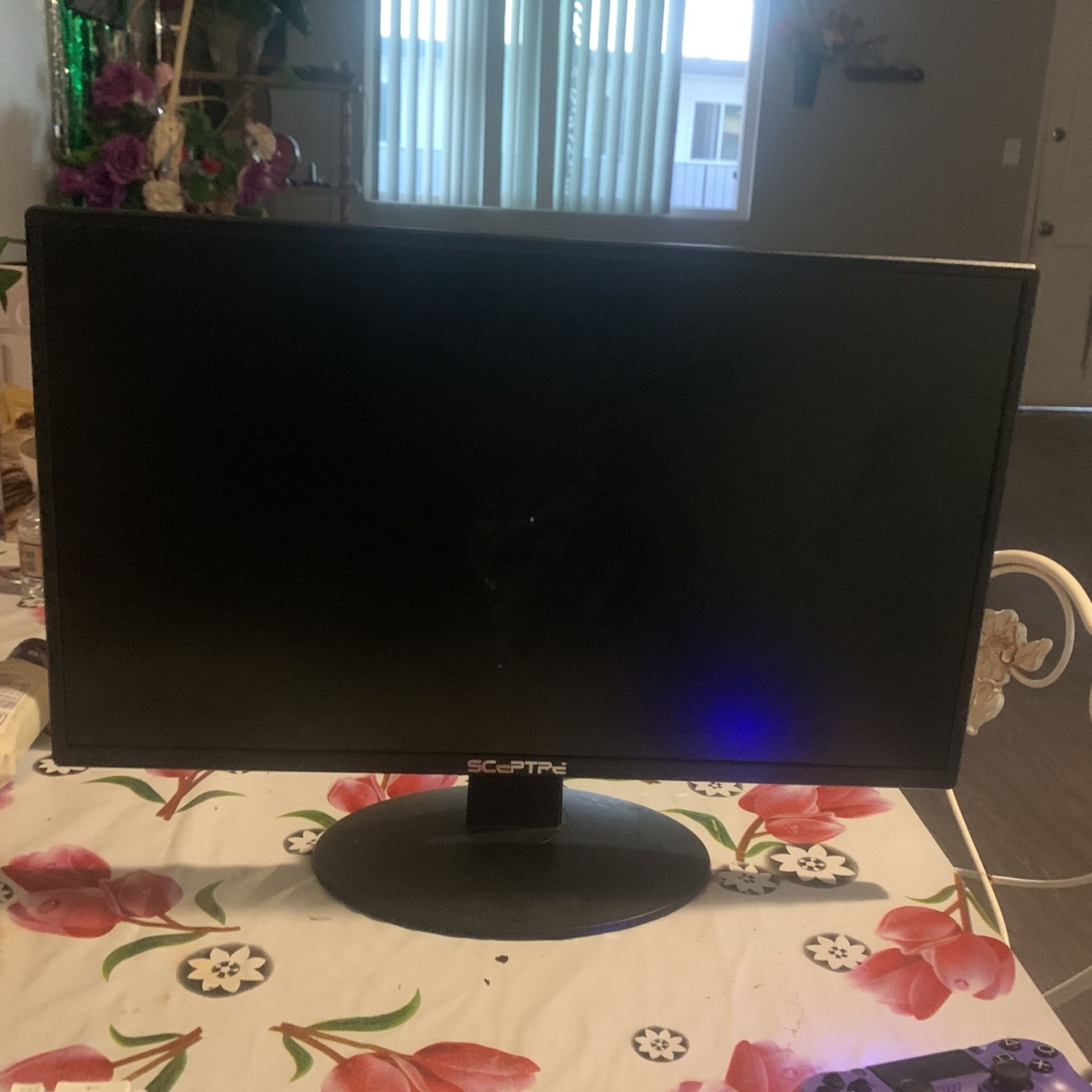 monitor