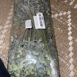 33 Pcs  Eucalyptus Stems